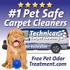 Technicare Carpet Cleaning and more...